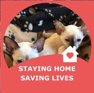 Meet your Posher, Tanya